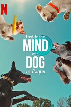 Inside the Mind of a Dog (2024) อ่านใจสุนัข