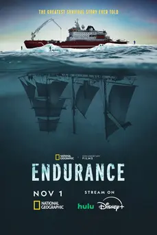 Endurance (2024)