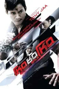 Kill Zone 2 (2015) โหดซัดโหด